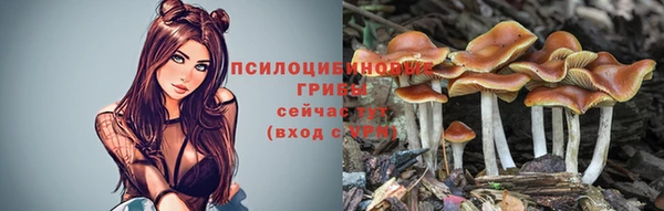 Альфа ПВП Арсеньев