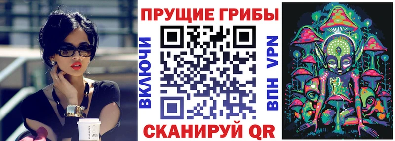 Купить закладки  Вилюйск  Галлюциногенные грибы Cubensis 