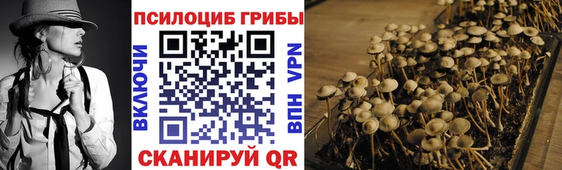 Псилоцибиновые грибы GOLDEN TEACHER Вилюйск